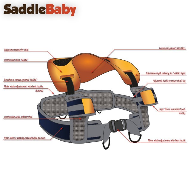 EBDLN-SaddleBaby-1