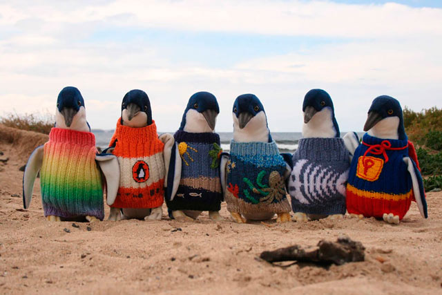 EBDLN-oldest-man-australia-knits-penguin-sweaters-1