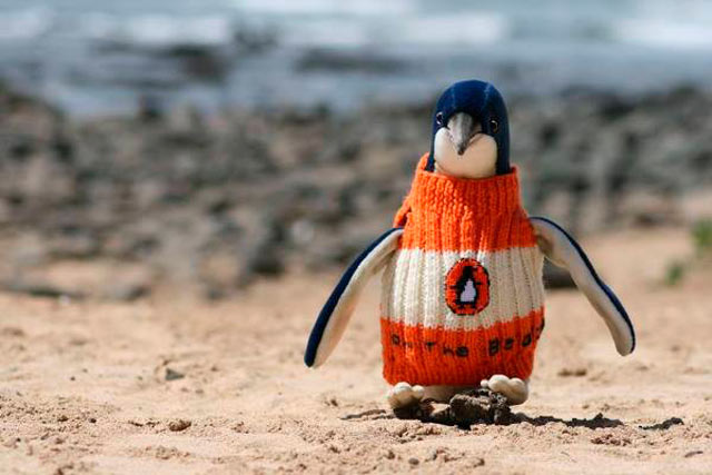EBDLN-oldest-man-australia-knits-penguin-sweaters-4