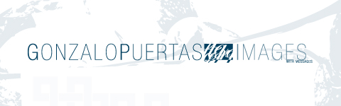 news_iv_gonzalop