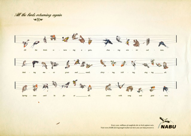 NABU, Songbirds rp_BLOG-PARTITURAOCELLS.jpg