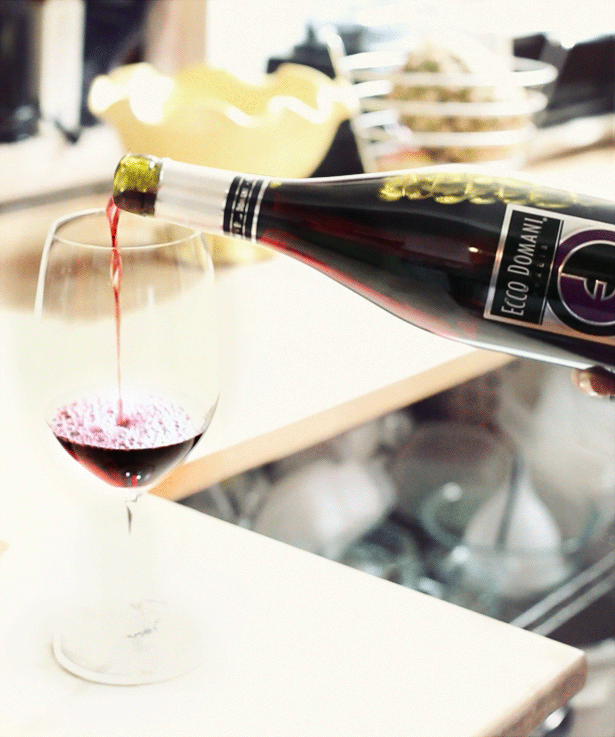 EBDLN-2013-BRINDIS-LANEGRETA
