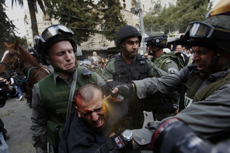 56th World Press Photo, mencions honorables