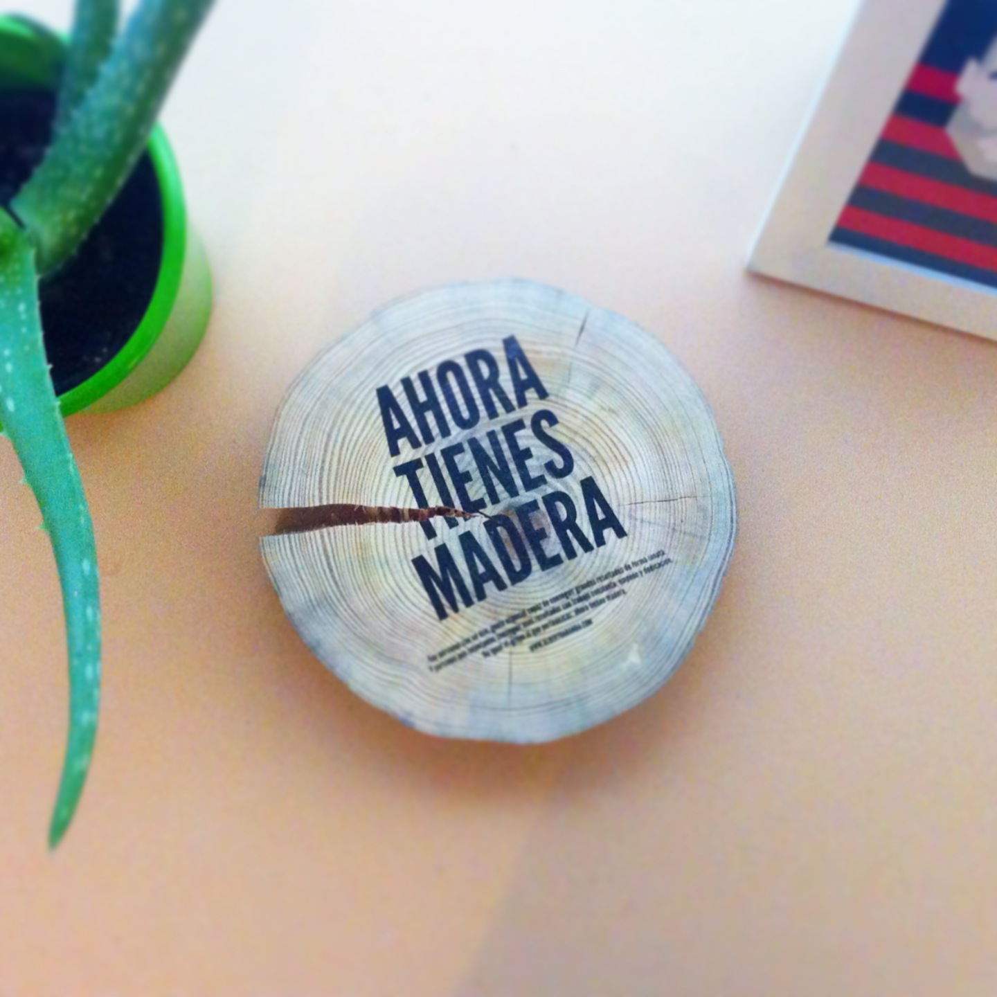 Ahora tienes madera!